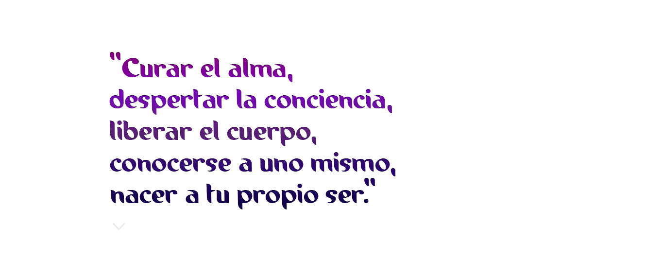 Inicio